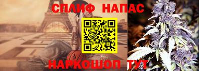 jwh Вязьма