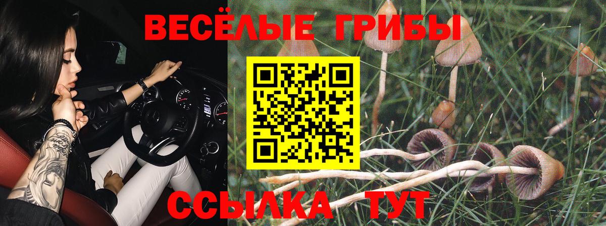 Галлюциногенные грибы MAGIC MUSHROOMS Татарск
